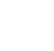 LOGO IBF branco FIM.png
